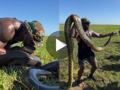 Anaconda Viral Video: অ্যানাকোন্ডার মাথায় চুমু! নেটিজেনদের চমকে দেওয়া এই ভিডিয়ো দেখেছেন?