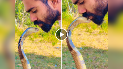 Naag Ka Video: फन फैलाकर बैठा था कोबरा, शख्स ने बेखोफ उसके फन को चूम लिया, वीडियो वायरल