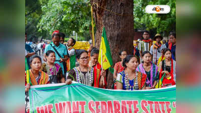 Demand For Tipraland : দীর্ঘদিন ধরে বঞ্চিত আদিবাসীরা, ত্রিপুরায় আলাদা রাজ্যের দাবি IPFT-র