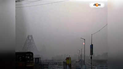 Kolkata Weather Update : দক্ষিণী ঘূর্ণাবর্তে ফের ছেদ শীতের আমেজে, কী বলছেন আবহবিদরা?