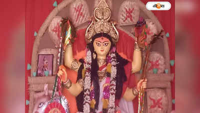 Jagadhatri Puja 2023 : এলাকা জুড়ে শতাধিক জগদ্ধাত্রী, নবমীতে ভিড় বাউরিয়ার মণ্ডপে মণ্ডপে