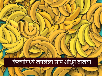 Puzzle: केळ्यांमध्ये लपलाय एक भलामोठा साप, जर तुमची नजर तिक्ष्ण असेल तर शोधून दाखवा