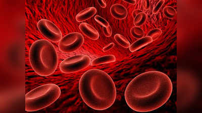 Hemoglobin Count : హిమోగ్లోబిన్ తక్కువగా ఉన్నప్పుడు వీటిని తినండి..