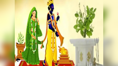Tulsi Vivah 2023 Puja Vidhi: तुलसी विवाह पूजन विधि, ऐसे करवाएं शालिग्राम और तुलसी का विवाह