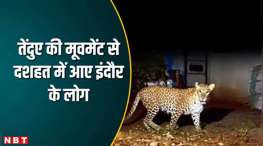 Indore News: इंदौर की पॉश कॉलोनी की गलियों में घूमता दिखा तेंदुआ, दहशत में आए लोग, देखें VIDEO