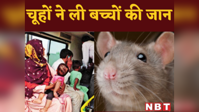 नूंह में चूहों से फैली बीमारी से हुई 4 बच्चों की मौत, मचा हड़कंप, पकड़ने के लिए लगाए गए पिंजरे