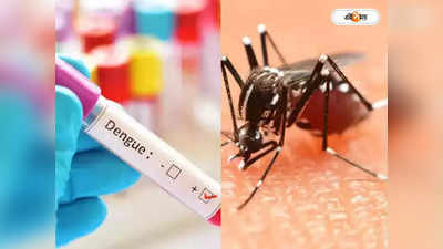 Dengue Symptoms : ডেঙ্গি: দুশ্চিন্তা দক্ষিণ দমদমে, পরিস্থিতি মোকাবিলায় নজরদারি