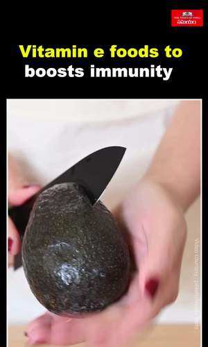 best foods that boost the immune system
