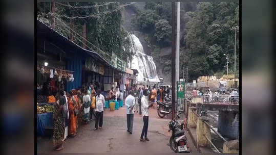 தொடர் மழையால் குற்றாலம் அருவியில் வெள்ளப்பெருக்கு! சுற்றுலா பயணிகள் குளிக்க தடை!