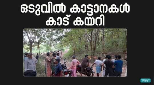 Wild Elephant Attack:  ജനവാസ മേഖലക്ക് സമീപം തമ്പടിച്ച കാട്ടനകള്‍ കാട് കയറി