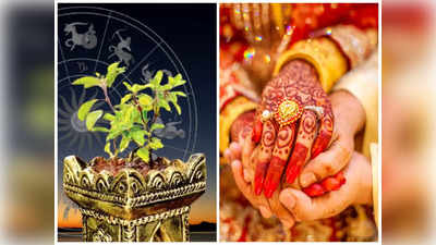 Tulsi Vivah 2023 పెళ్లి విషయంలో ఆటంకాలొస్తున్నాయా.. తులసి వివాహం వేళ ఈ పరిహారాలు పాటించండి...