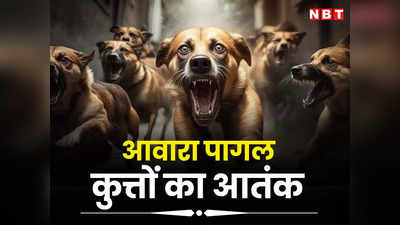 Gwalior News: ग्वालियर में बेकाबू आवारा कुत्ते! 23 दिन में 494 मामले आए सामने, अस्पतालों में रोज पहुंच रहे सैंकडों घायल