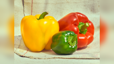 Red Bell Pepper: संतरे से ज्यादा Vitamin देगी इस रंग की शिमला मिर्च, 3 गुना तेज होंगी आंखें, बनेंगी दूरबीन