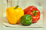 Red Bell Pepper: संतरे से ज्यादा Vitamin देगी इस रंग की शिमला मिर्च, 3 गुना तेज होंगी आंखें, बनेंगी दूरबीन