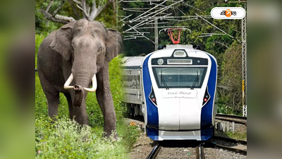 Indian Railways: বন্দে ভারতের থেকে দ্রুত ট্রেন, লাইন বসাতে ব্যবহার হয়েছিল হাতির! রেলের 10 অজানা তথ্য জেনে নিন