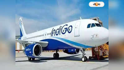 IndiGo Flight : প্রিমিয়াম ক্লাস নিয়ে আসার পরিকল্পনা করেছে ইন্ডিগোর