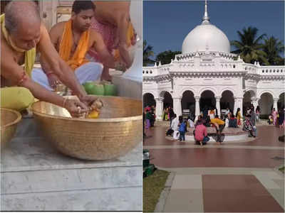 Rash Utsav: রথে বাড়ি ফিরে ঘুমিয়ে চার মাস বাদে জাগেন মদন মোহন, কোচবিহারে শুরু রাস উৎসবের প্রস্তুতি
