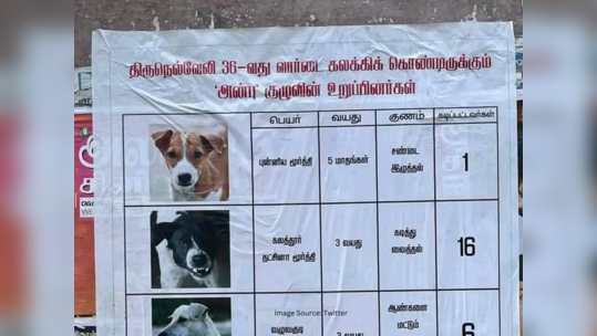 பெயர் தட்சிணா மூர்த்தி, வயது 5, குணம் கடித்து வைத்தல், கடிபட்டவர்கள் 16. மாநகராட்சியை கண்டித்து திருநெல்வேலியில் ஒட்டப்பட்ட வினோத போஸ்டர்!