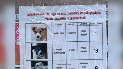 பெயர் தட்சிணா மூர்த்தி, வயது 5, குணம் கடித்து வைத்தல், கடிபட்டவர்கள் 16. மாநகராட்சியை கண்டித்து திருநெல்வேலியில் ஒட்டப்பட்ட வினோத போஸ்டர்!