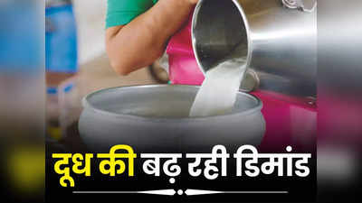 Indore News: शादियों के सीजन में बढ़ गई दूध की डिमांड! 2.60 लाख लीटर पहुंची रोजाना की मांग