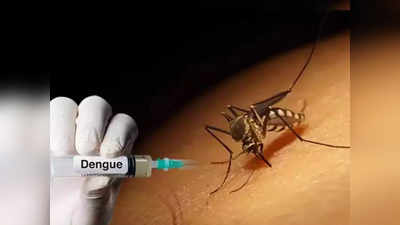 डेंगू से मौतों पर लगेगी लगाम, अगले साल तक आ जाएगी वैक्सीन, दो ट्रायल भी पूरे