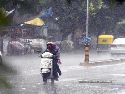 ગુજરાતમાં કમોસમી વરસાદે વિનાશ વેર્યોઃ એક દિવસમાં 20 લોકોના મોત, ખેતીને ભારે નુકસાન 