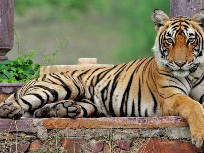 कितना सही होता है राज्यों का डेटा कितना सही होता है राज्यों का डेटा