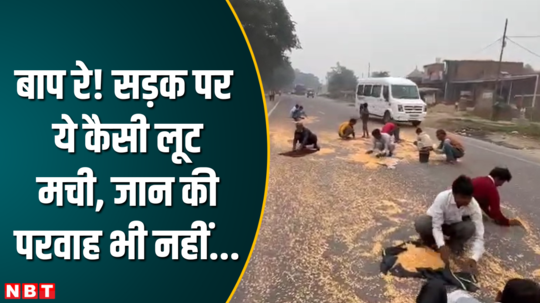 maize pulses loot people gathered on road hamirpur viral video news