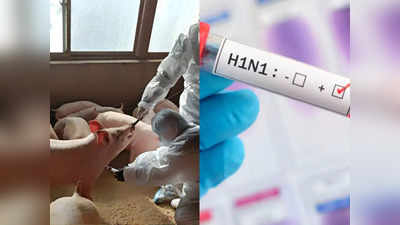 चीन में निमोनिया के बाद ब्रिटेन ने बढ़ाई टेंशन, इंसान में मिला सूअरों में फैलने वाला एच1 एन1 वायरस