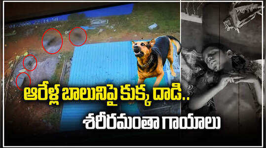 ఆరేళ్ల బాలునిపై కుక్క దాడి.. తల్లడిల్లిపోయిన చిన్నారి.. సీసీఫుటేజీ వైరల్