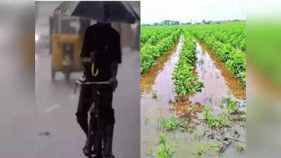 Weather Alert: महाराष्ट्र में आज और कल बेमौसम तूफानी बारिश के साथ ओलावृष्टि, इन इलाकों में अलर्ट जारी