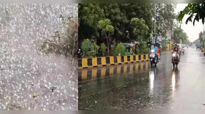 Gujarat Rain : गुजरातला अवकाळी पावसाचा तडाखा; वीज कोसळून तब्बल २० जणांचा मृत्यू