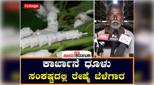 ಕಾರ್ಖಾನೆ ಧೂಳಿನಿಂದ ರೇಷ್ಮೆ ಬೆಳೆಗಾರರಿಗೆ ಸಂಕಷ್ಟ ; ಧೂಳಿನಿಂದ ಸಾಯುತ್ತಿರುವ ರೇಷ್ಮೆ ಹುಳುಗಳು..!
