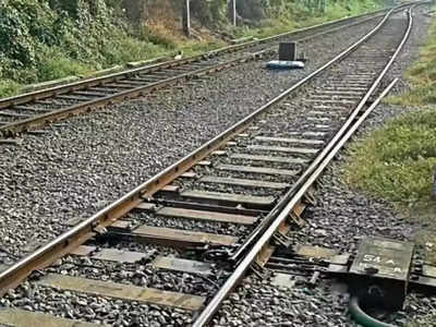 विशेष रेल्वे गाडीच्या धडकेत वाघाचा मृत्यू; गोंदिया- चांदाफोर्ट रेल्वे रुळावरील घटना