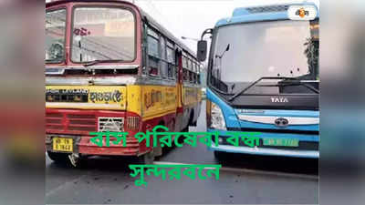 Bus Service : বাস পরিষেবা বন্ধ, সমস্যা সুন্দরবনে