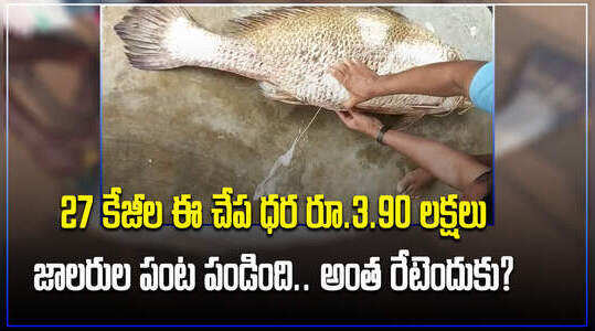 అనకాపల్లి: ఈ మత్స్యకారుడు ఎంతో లక్కీ.. ఒక్క చేపకు అంత రేటా.. డిమాండ్ అలా ఉందట