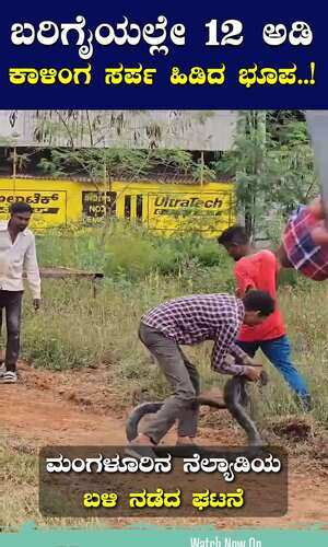 ಬರಿಗೈಯಲ್ಲೇ 12 ಅಡಿ ಕಾಳಿಂಗ ಸರ್ಪ ಹಿಡಿದ ಭೂಪ..!