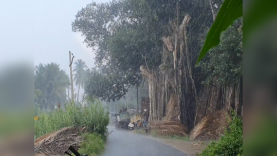 கரூரில் அரை மணி நேரமாக விடாமல் பெய்த மழை....விவசாயிகள் மற்றும் பொதுமக்கள் மகிழ்ச்சி!