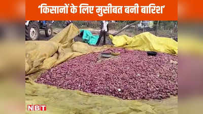 Onion price In MP: किसानों के लिए मुसीबत बनी बारिश, आसमान से सीधे जमीन पर गिरे प्‍याज के दाम