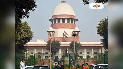 Supreme Court : ভারতে নিষিদ্ধ পাক শিল্পী? মামলার শুনানিতে কী জানাল সুপ্রিম কোর্ট?