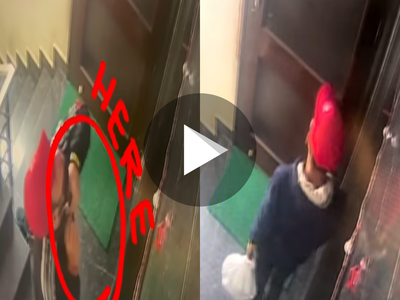 Viral CCTV Video: ফুড ডেলিভারি দিতে এসে জুতো চুরি! সাবধান থাকতে দেখে নিন ভাইরাল এই ভিডিয়ো