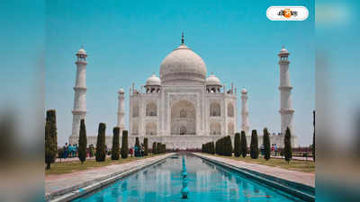 Taj Mahal : প্রেমের সৌধে পোকার বাসা! শ্বেতশুভ্র তাজমহলে সবুজ ছোপ