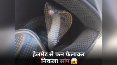 शख्स को हेलमेट में छिपा मिला कोबरा, फन फैलाकर किया अटैक, डराने वाला वीडियो हुआ वायरल
