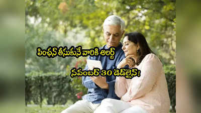 Pension: పెన్షనర్లూ నవంబర్ 30 డెడ్‌లైన్ మిసైతే జరిగేది ఇదే! చూసుకోండి! 