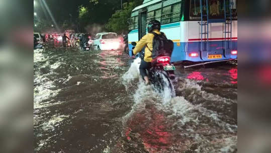 வெளுத்தும் வாங்கும் கனமழை : முதல்வர் ஸ்டாலின் வெளியிட்ட முக்கிய அறிவிப்பு - விடுமுறை உண்டா?