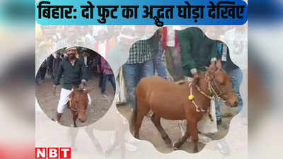 Bihar News : सिर्फ 2 फुट का घोड़ा, दुल्हनिया ढूंढने वाले को इनाम, वीडियो देखिएगा तो इसकी चाल हिला डालेगी... बिहार में सब पॉसिबल है