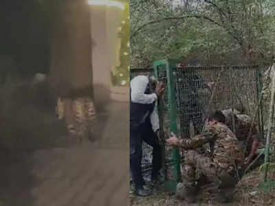 दिल्ली के सैनिक फार्म में दिखा तेंदुआ, वन विभाग और पुलिस की 40 टीमें कर रहीं रेस्क्यू