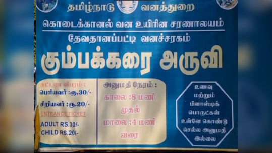 கும்பக்கரை அருவியில் தொடர் வெள்ளப்பெருக்கு...30-வது நாளாக குளிக்க தடை!