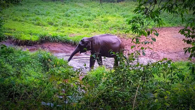 ഗവിയിലെ കാഴ്ചകള്‍