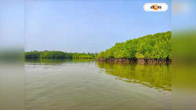 Sundarban Tour : সুন্দরবনে এবার রো-রো ভেসেল